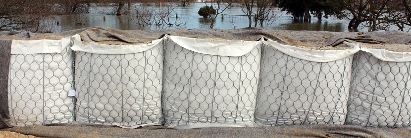 AVC 稱線上消毒機零售額增幅達 92.7%，零售量增幅達 90.6%，這反映了什么問題 ?紫外線殺菌燈測評丨殺菌效果實測，殺滅率99.9%到底是不是噱頭 