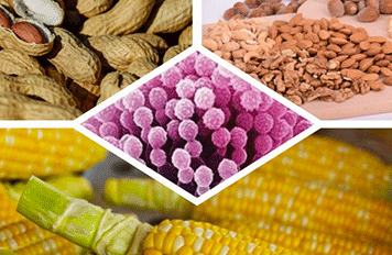 廚房抽油煙機(jī)檢測設(shè)備?滅菌器檢測項目及標(biāo)準(zhǔn) ?健明迪