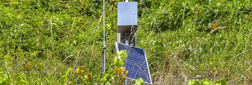 城市供水及飲用水中微生物如何快速檢測(cè) 這幾個(gè)單位的對(duì)比給出答案！?微生物高分文章必備分析LEfSe?健明迪