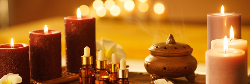 植物種子發芽率