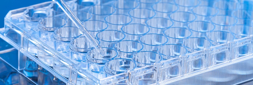 對(duì)甲苯磺酸甲酯檢測