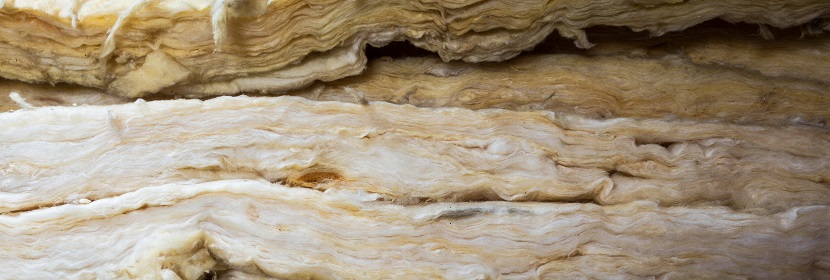 雞蛋卷營養指標檢測