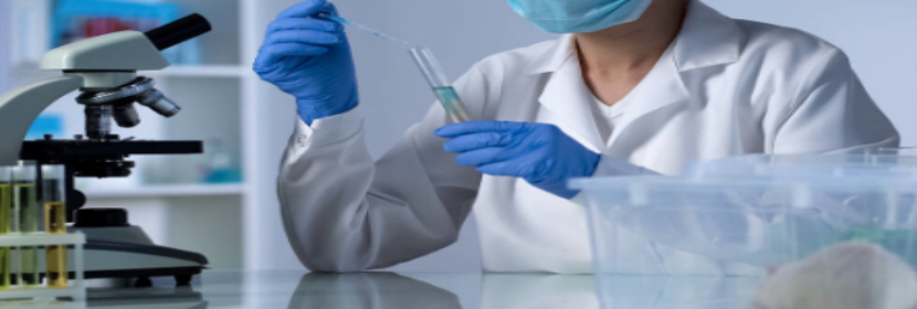 體外哺乳動物細(xì)胞微核試驗