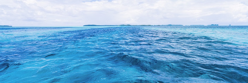 活動(dòng)抑制試驗(yàn)