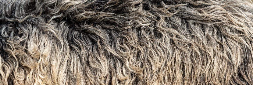 頂破強(qiáng)度測試