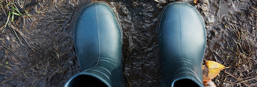 錐度力檢測(cè)