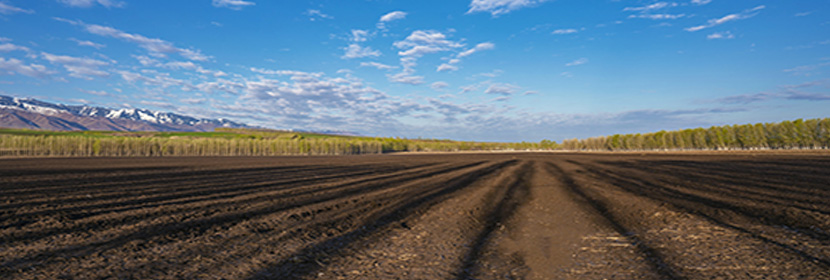 穩(wěn)定碳同位素測試